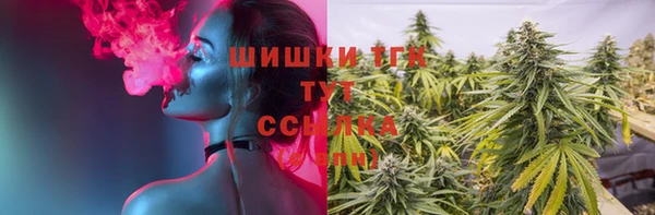 спайс Богородицк