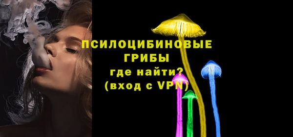 спайс Богородицк