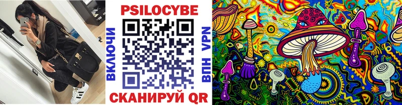 купить наркоту Волгореченск Галлюциногенные грибы Cubensis